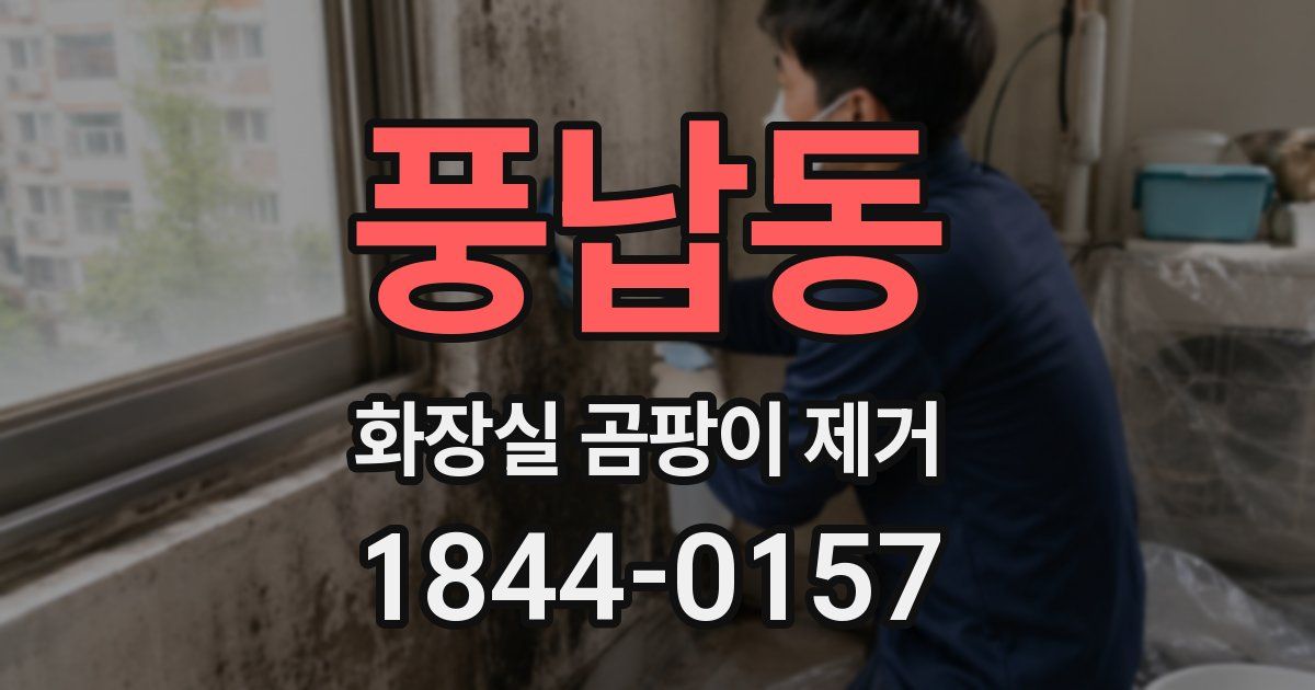 풍납동 화장실 곰팡이 제거