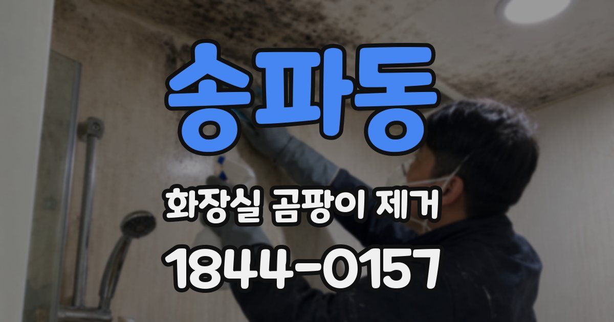 송파동 화장실 곰팡이 제거