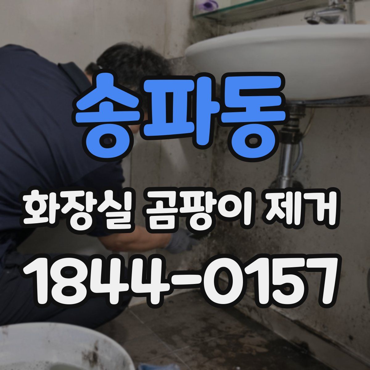 송파동 화장실 곰팡이 제거