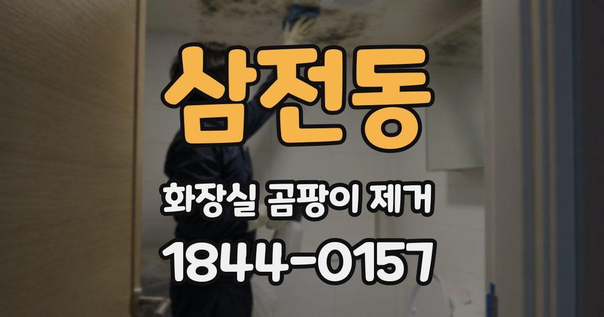 삼전동 화장실 곰팡이 제거