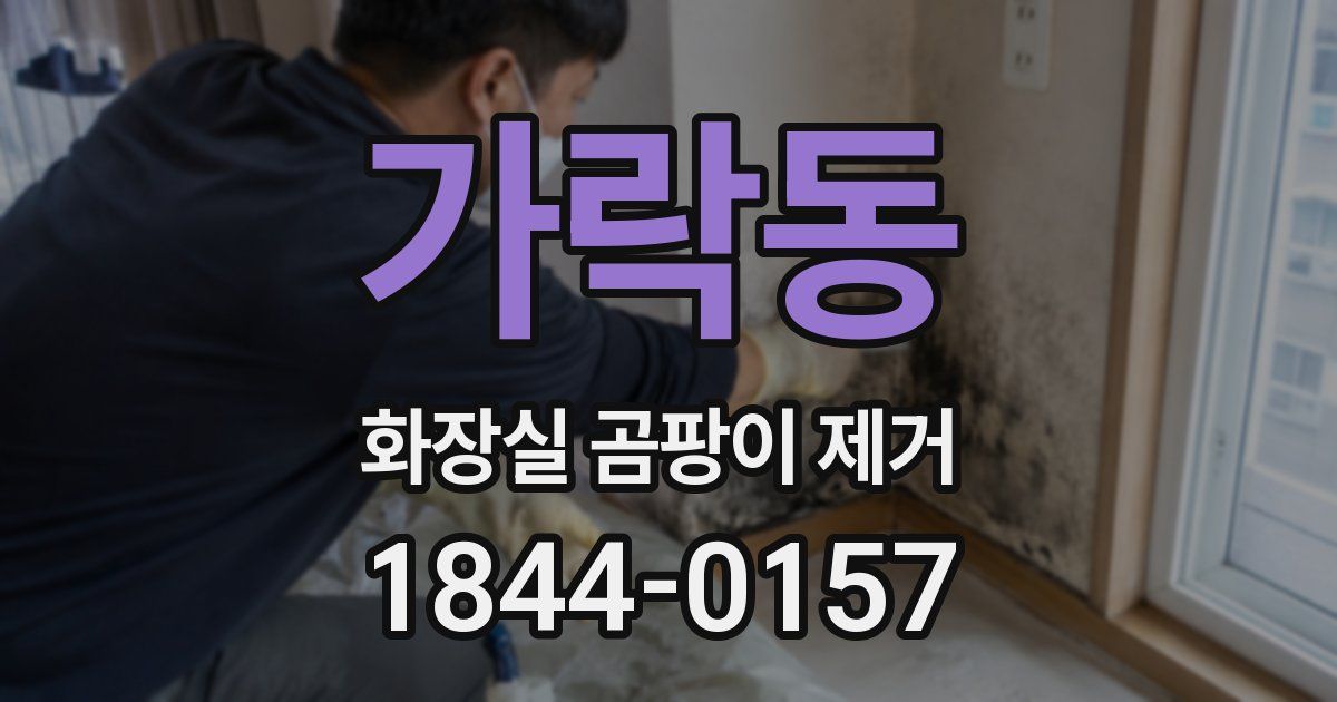 가락동 화장실 곰팡이 제거