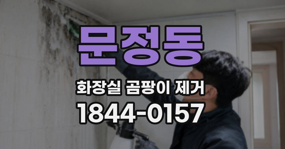 문정동 화장실 곰팡이 제거