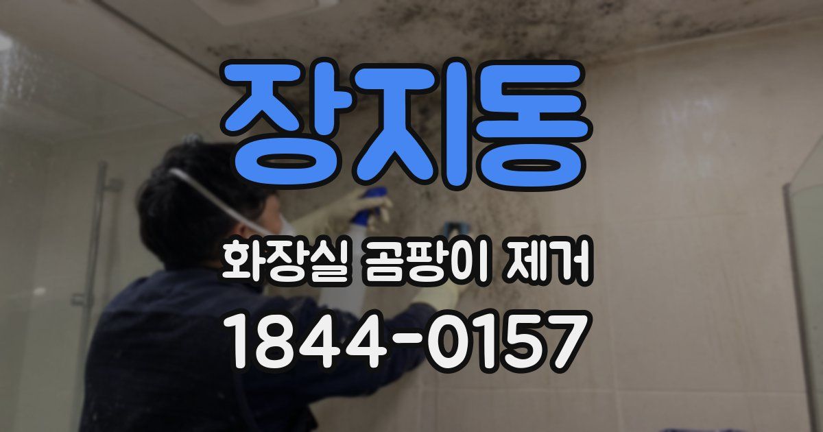 장지동 화장실 곰팡이 제거