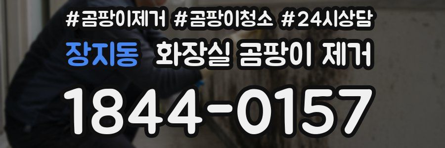 장지동 화장실 곰팡이 제거