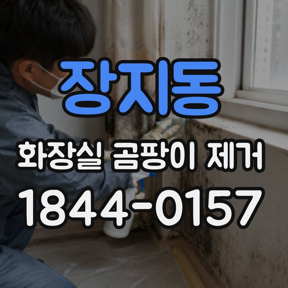 장지동 화장실 곰팡이 제거
