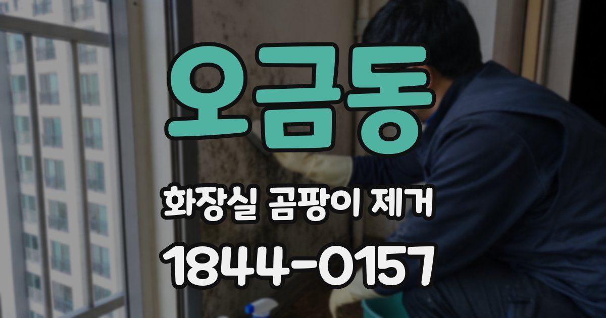오금동 화장실 곰팡이 제거