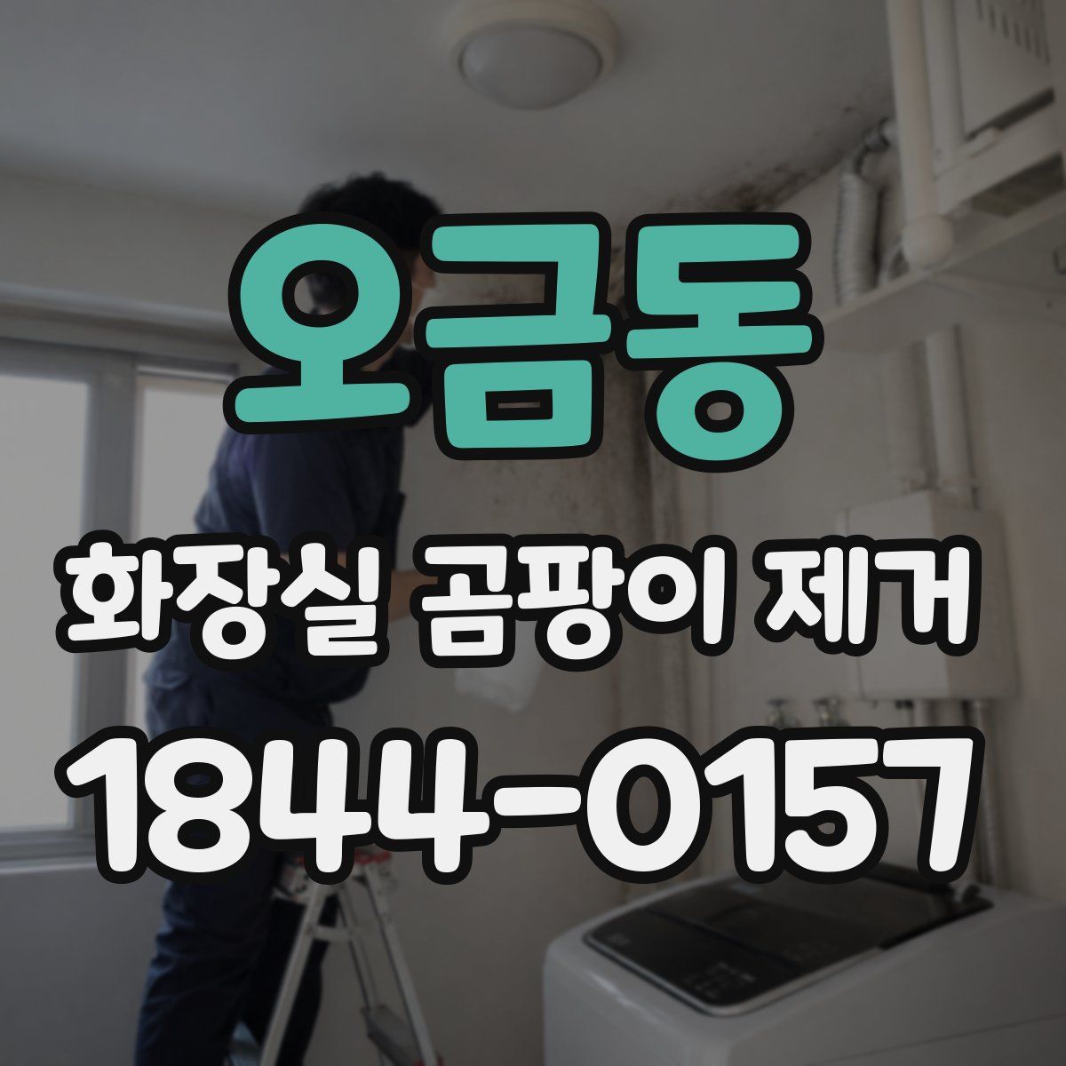 오금동 화장실 곰팡이 제거