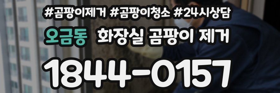 오금동 화장실 곰팡이 제거