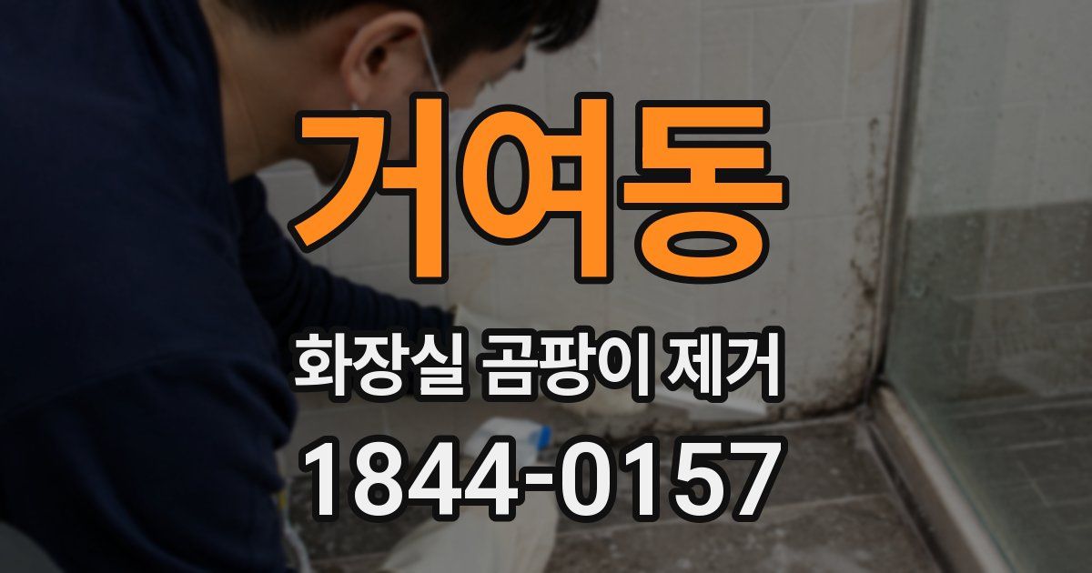 거여동 화장실 곰팡이 제거