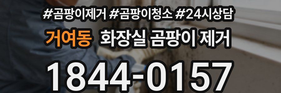 거여동 화장실 곰팡이 제거
