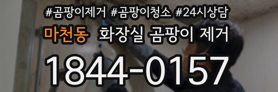 마천동 화장실 곰팡이 제거
