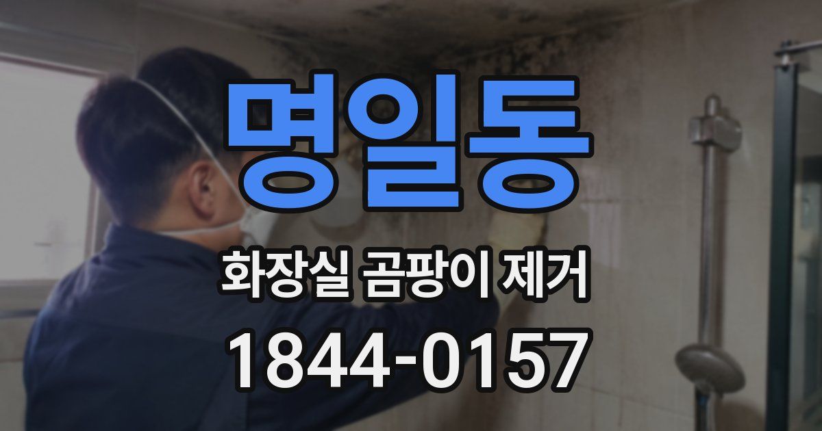 명일동 화장실 곰팡이 제거