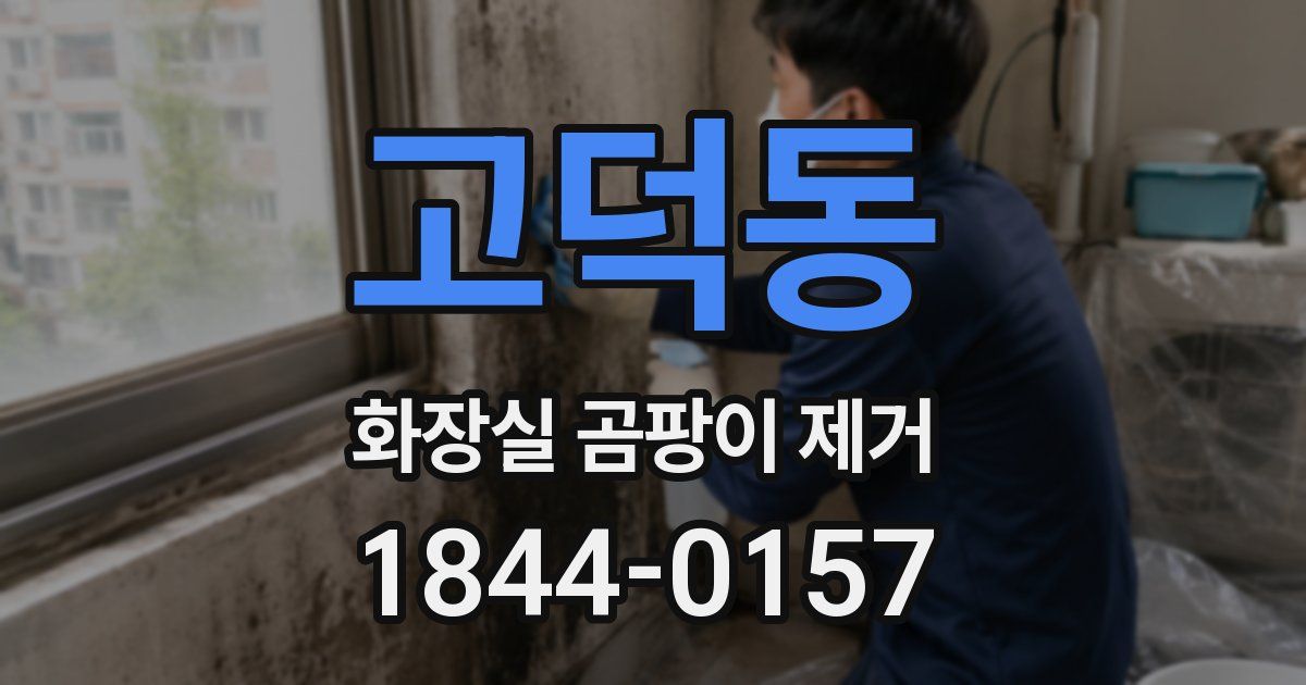 고덕동 화장실 곰팡이 제거