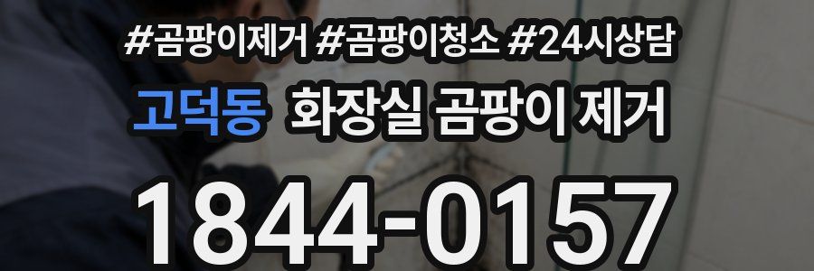 고덕동 화장실 곰팡이 제거