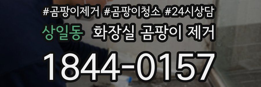 상일동 화장실 곰팡이 제거
