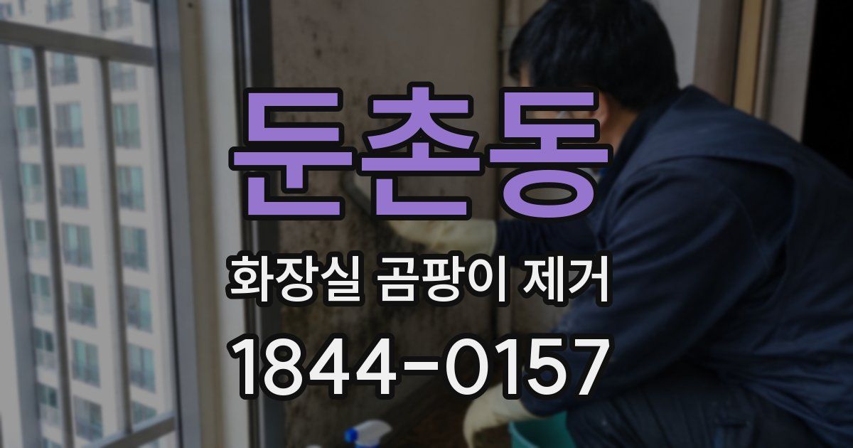 둔촌동 화장실 곰팡이 제거