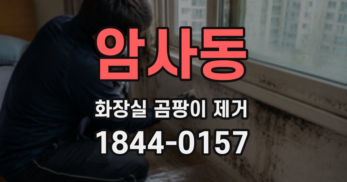암사동 화장실 곰팡이 제거
