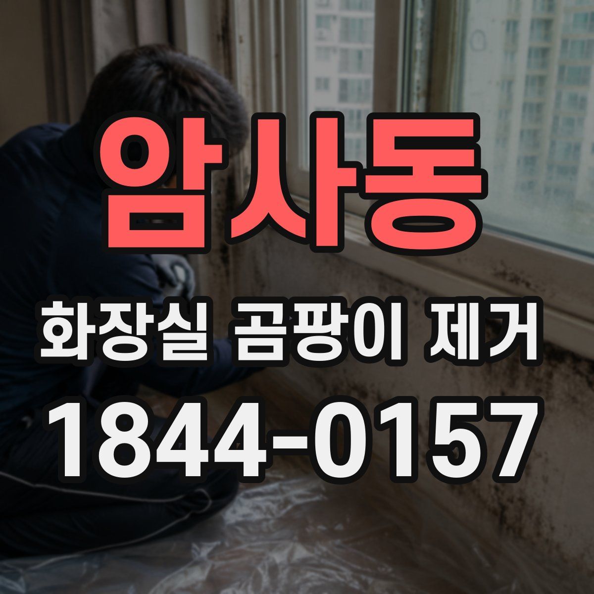 암사동 화장실 곰팡이 제거