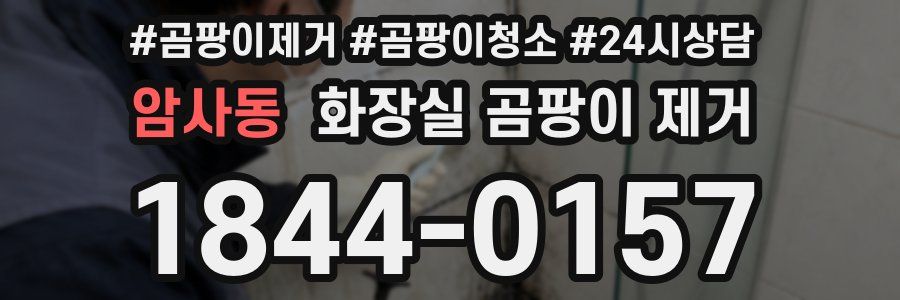 암사동 화장실 곰팡이 제거