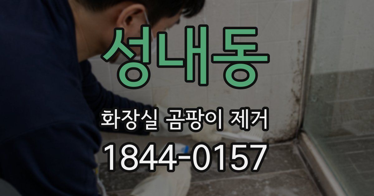 성내동 화장실 곰팡이 제거