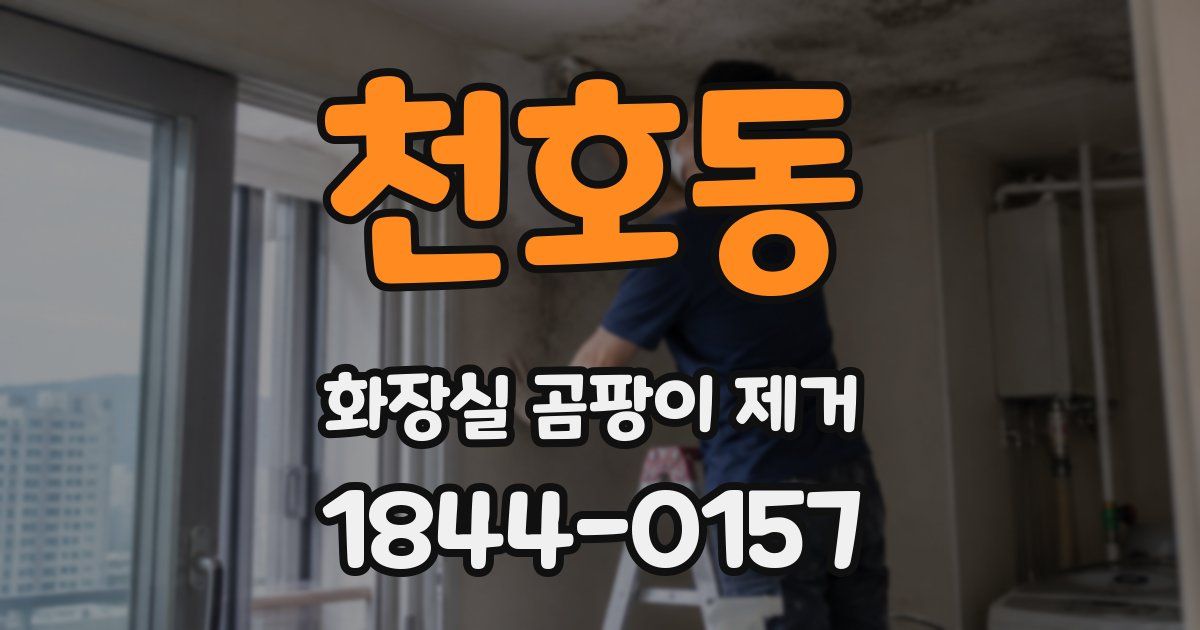 천호동 화장실 곰팡이 제거