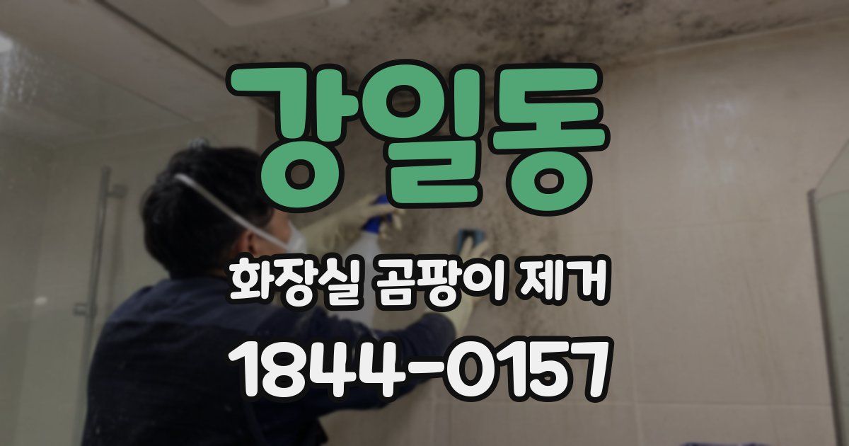 강일동 화장실 곰팡이 제거