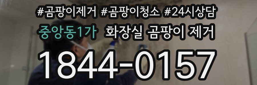 중앙동1가 화장실 곰팡이 제거