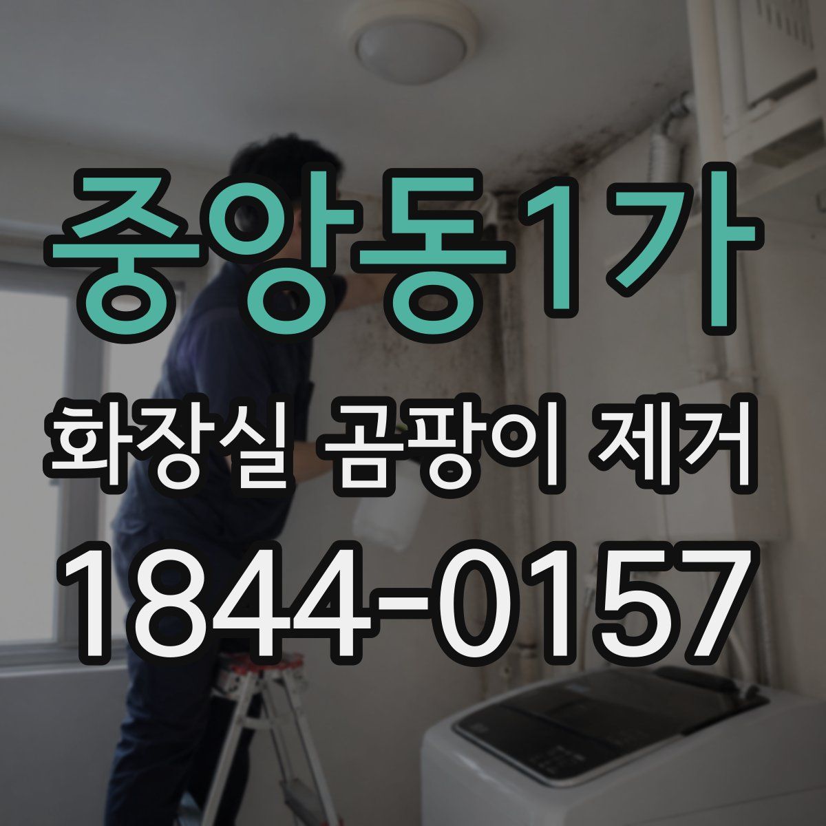 중앙동1가 화장실 곰팡이 제거