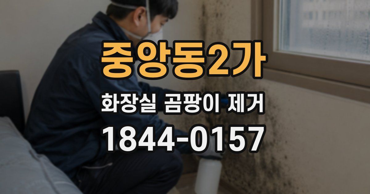중앙동2가 화장실 곰팡이 제거