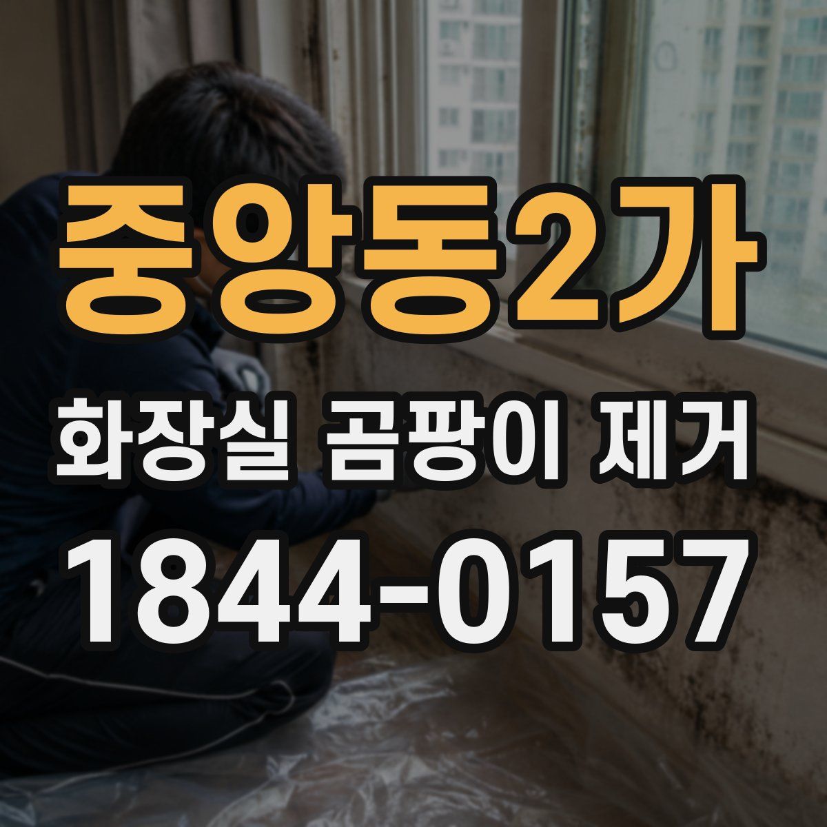 중앙동2가 화장실 곰팡이 제거
