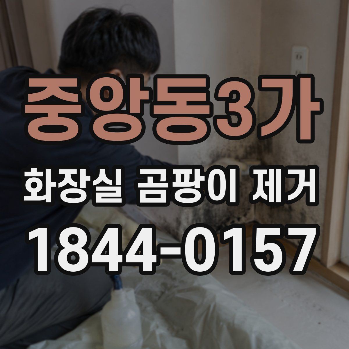중앙동3가 화장실 곰팡이 제거 눅눅한 공간에서 생기는 흔적 구분법