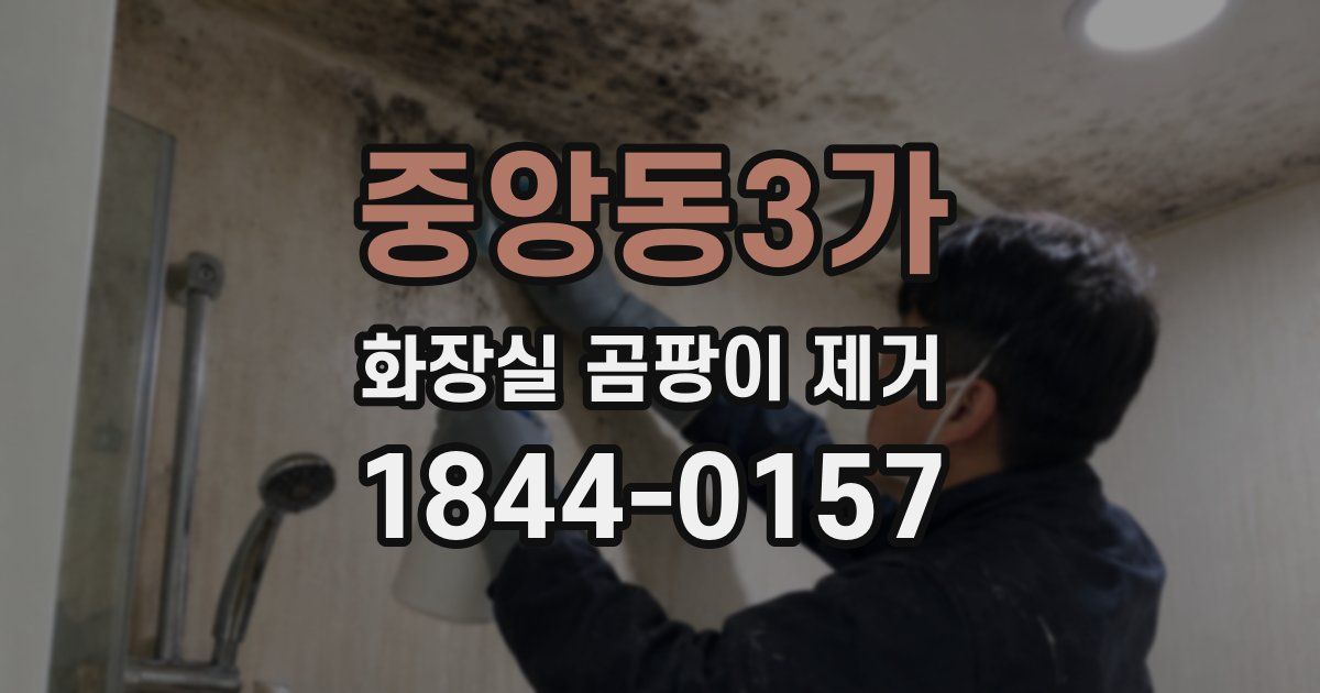 중앙동3가 화장실 곰팡이 제거