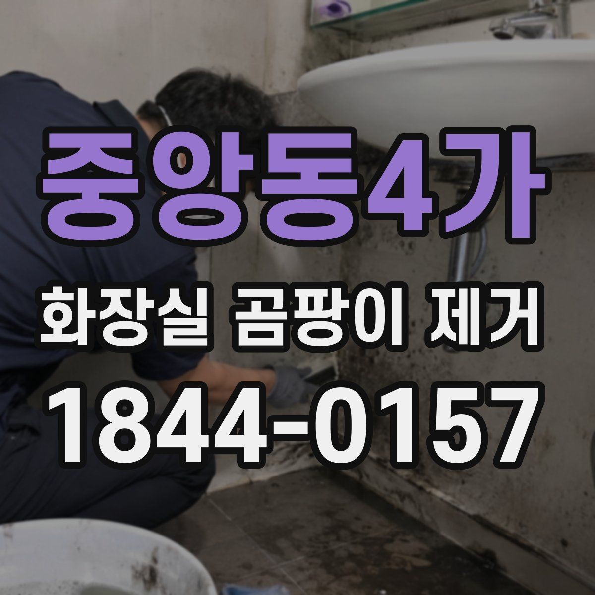 중앙동4가 화장실 곰팡이 제거 오염 범위에 따라 달라지는 대응 방식