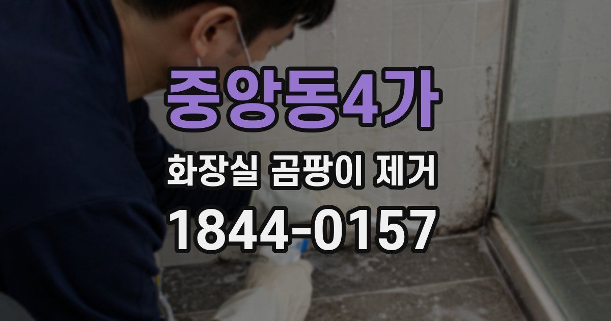 중앙동4가 화장실 곰팡이 제거