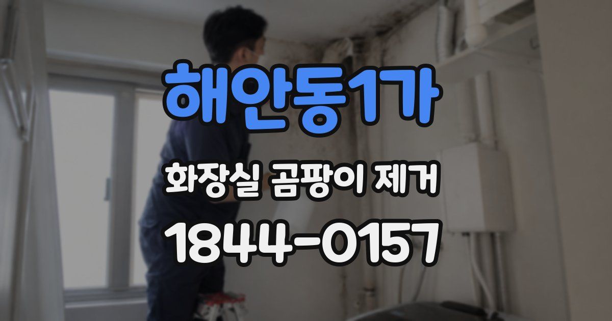 해안동1가 화장실 곰팡이 제거