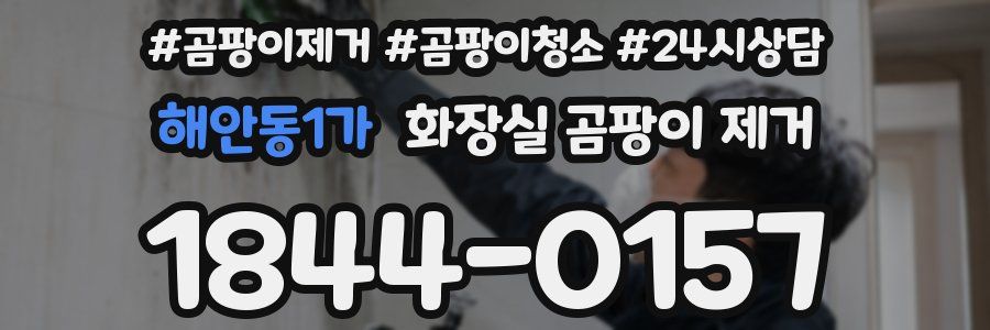 해안동1가 화장실 곰팡이 제거