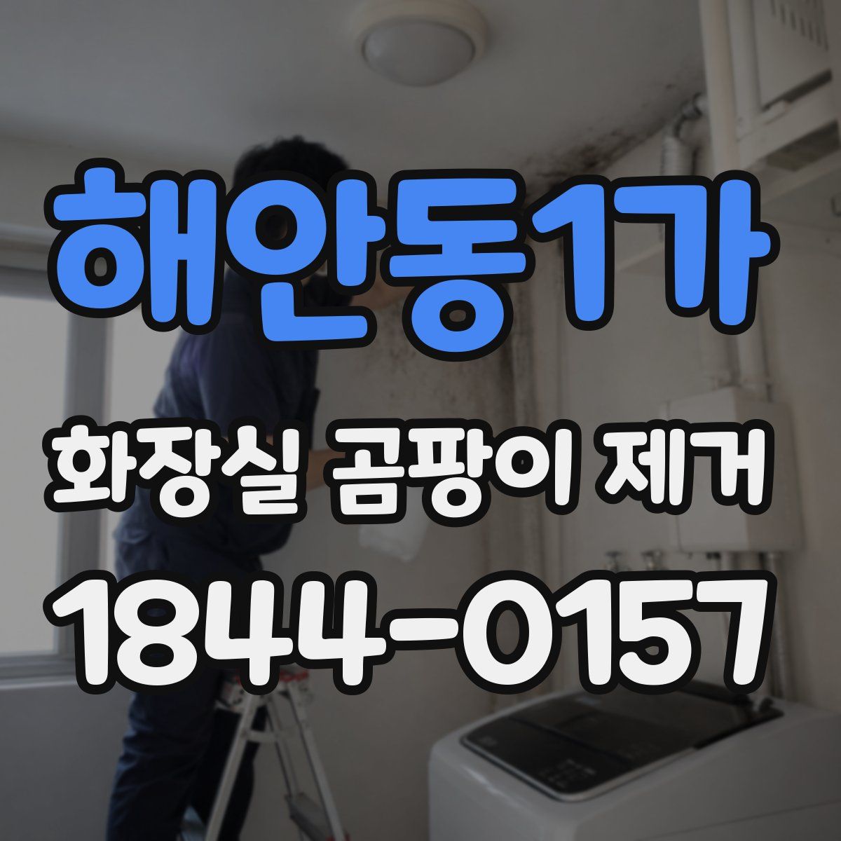 해안동1가 화장실 곰팡이 제거