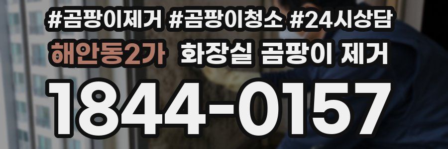 해안동2가 화장실 곰팡이 제거