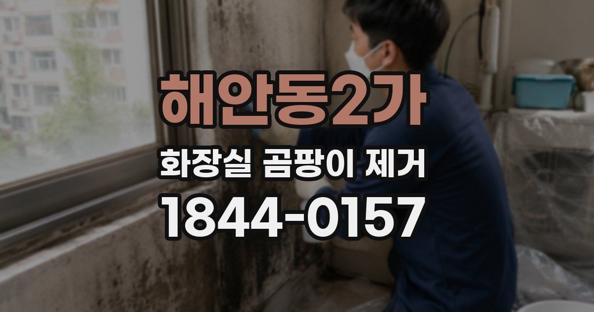 해안동2가 화장실 곰팡이 제거