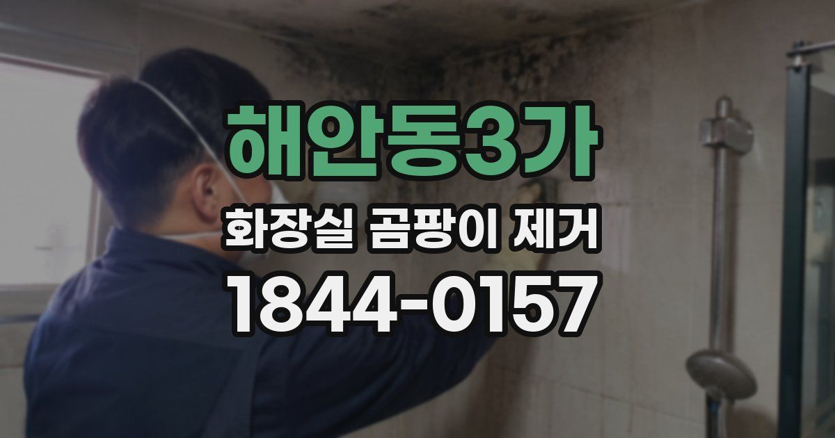 해안동3가 화장실 곰팡이 제거