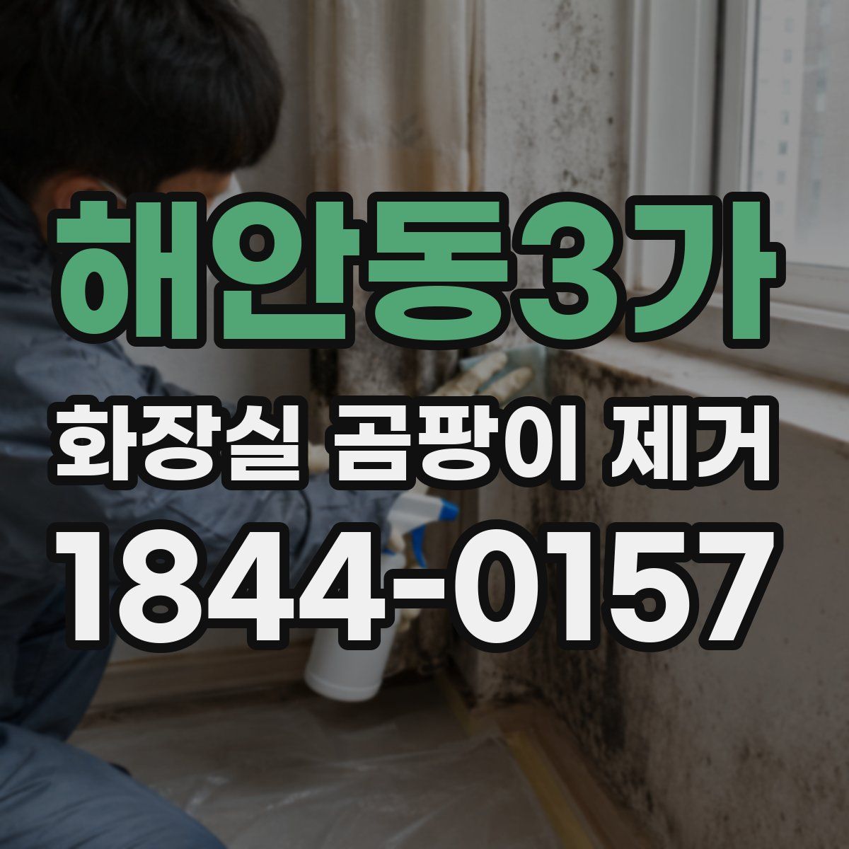 해안동3가 화장실 곰팡이 제거
