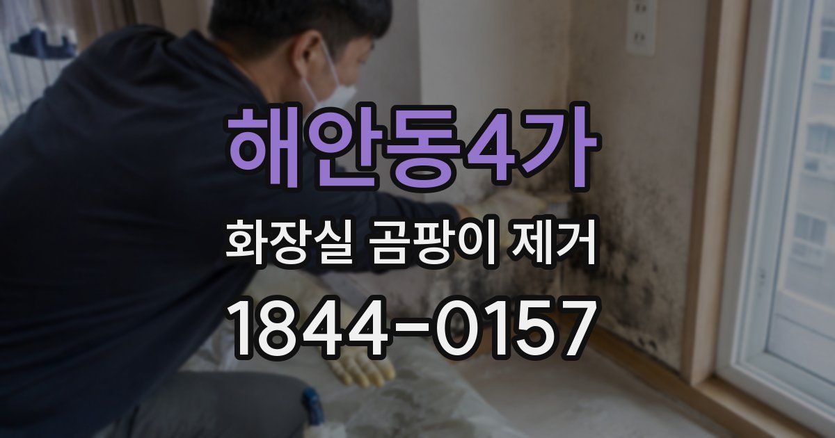해안동4가 화장실 곰팡이 제거