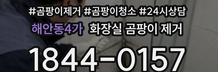 해안동4가 화장실 곰팡이 제거