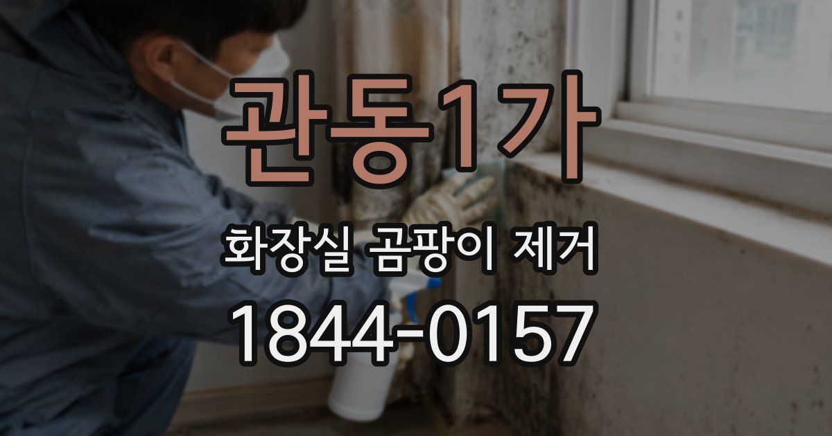 관동1가 화장실 곰팡이 제거