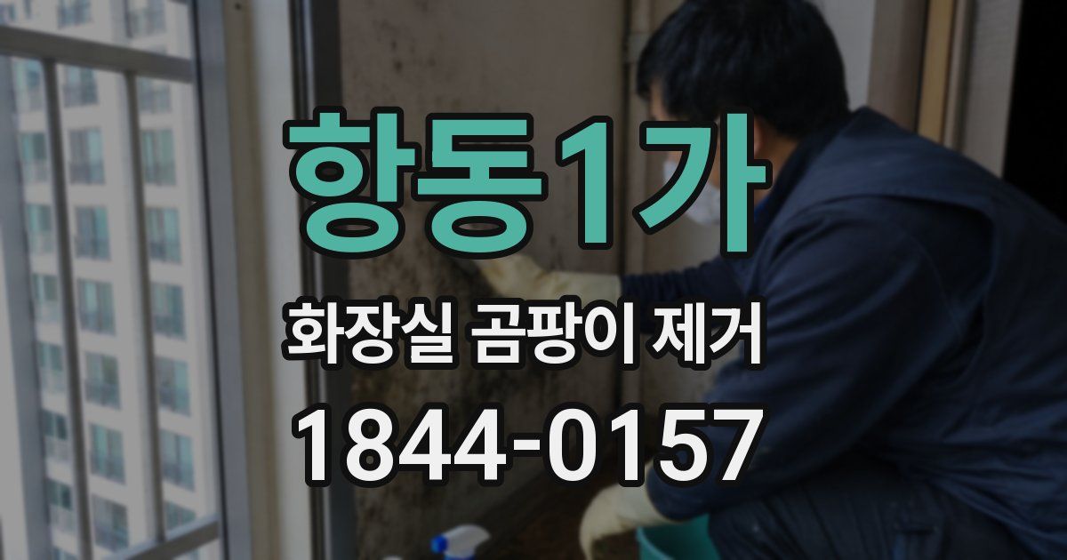 항동1가 화장실 곰팡이 제거