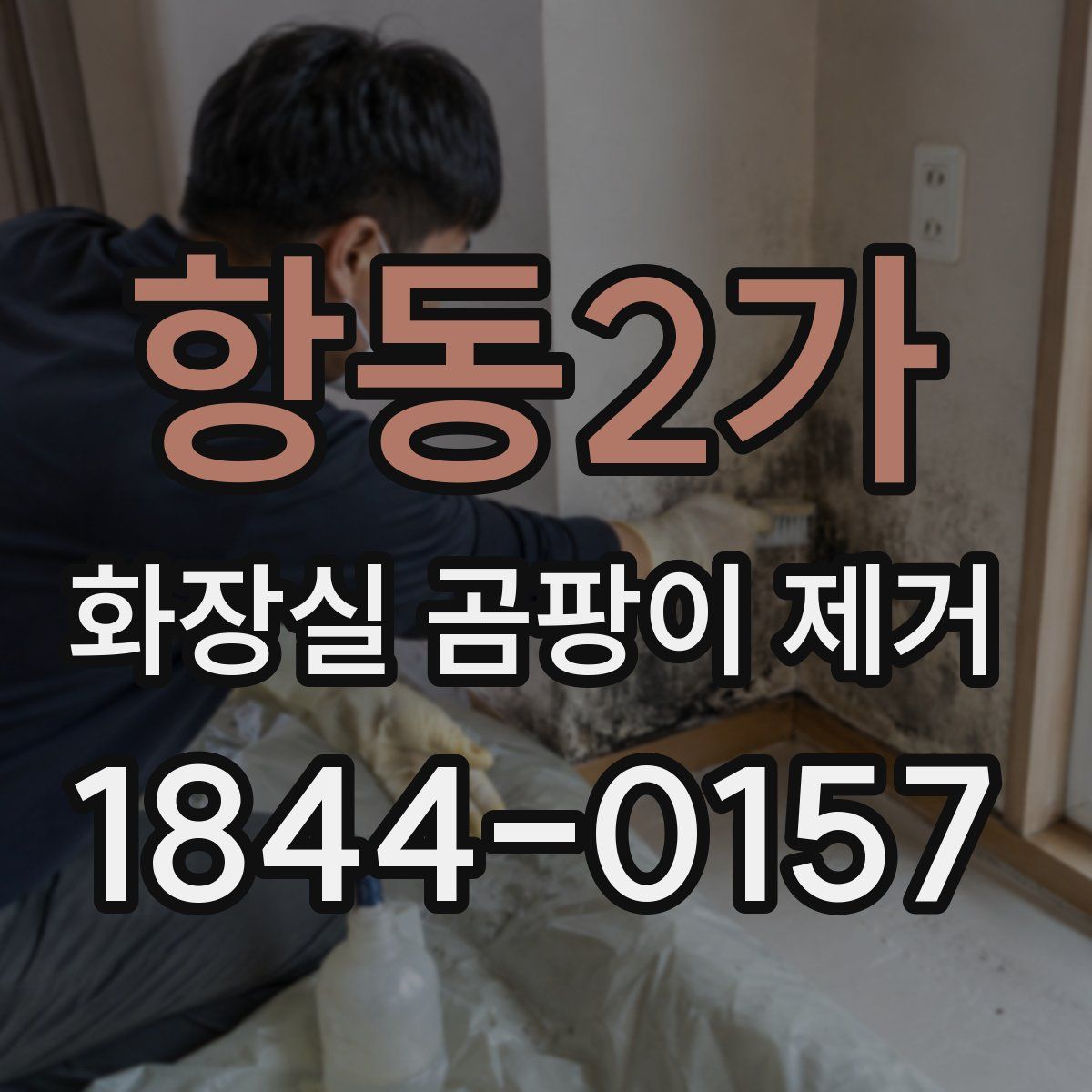 항동2가 화장실 곰팡이 제거