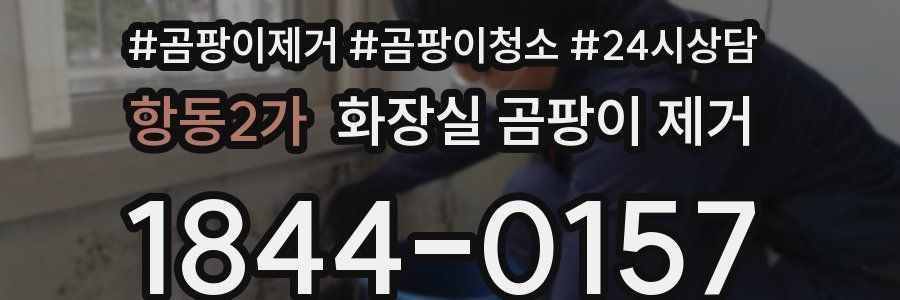항동2가 화장실 곰팡이 제거