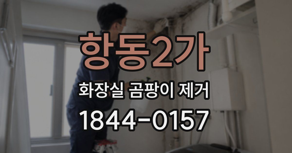 항동2가 화장실 곰팡이 제거