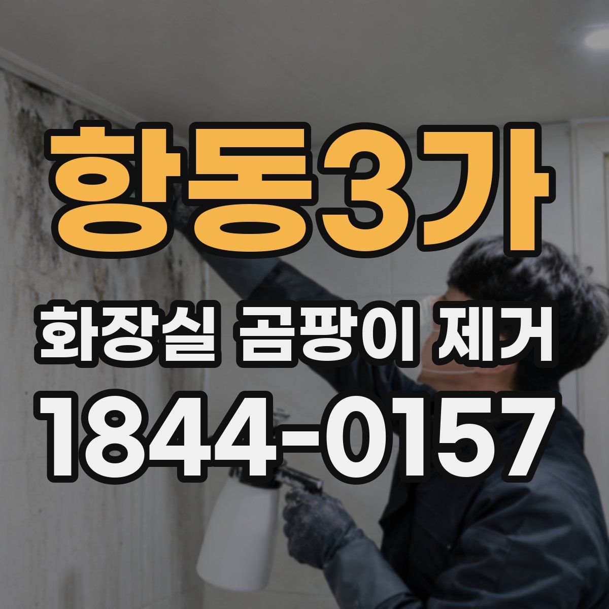 항동3가 화장실 곰팡이 제거