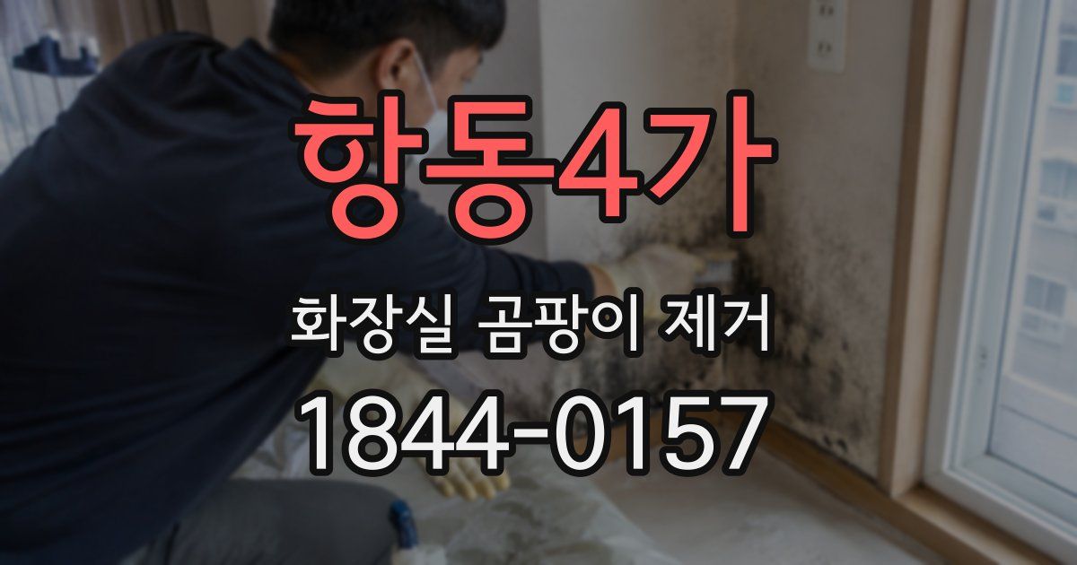 항동4가 화장실 곰팡이 제거
